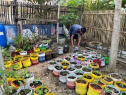 Kolaborasi Mahasiswa KKN UNS dan Warga Kampung Njawani dalam Program Revitalisasi Kebun Sayur Organik Warga Dalam Upaya Sukseskan GERMAS