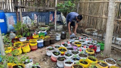 Kolaborasi Mahasiswa KKN UNS dan Warga Kampung Njawani dalam Program Revitalisasi Kebun Sayur Organik Warga Dalam Upaya Sukseskan GERMAS