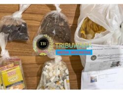 Sinergi Lapas dan Polres Karawang: Upaya Penyelundupan Narkotika Lewat Kunjungan Berhasil Digagalkan